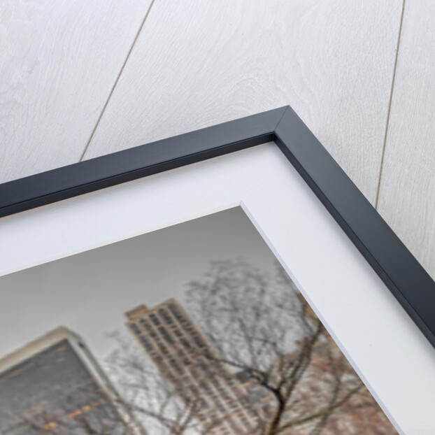 Central park, New York by Assaf Frank